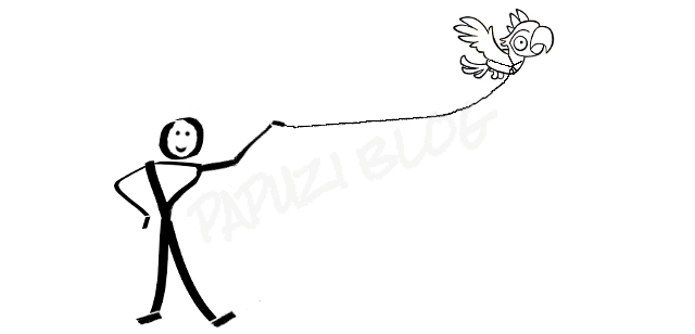 latanie papug w szelkach